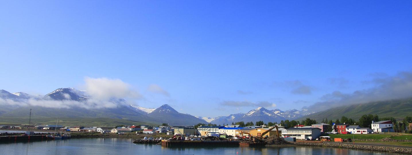 Dalvik Tours and Trips 2019