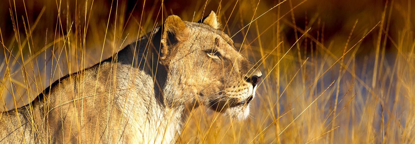 Wildlife Deals and Discounts 2019/2020