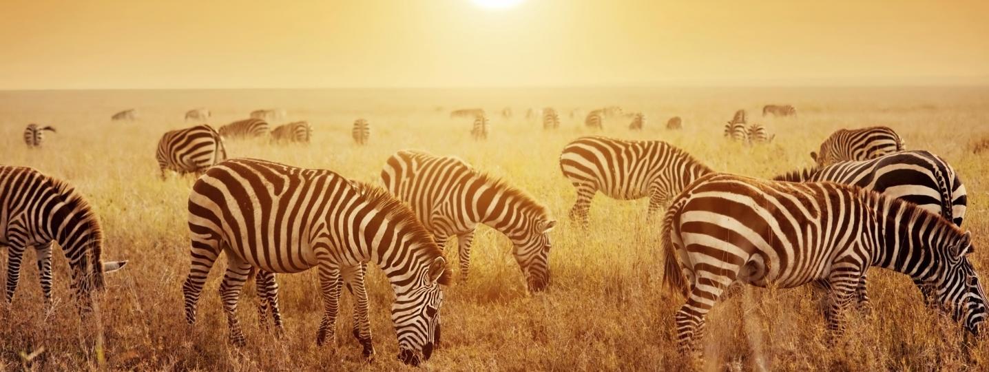 All Nomad Africa Adventure Tours