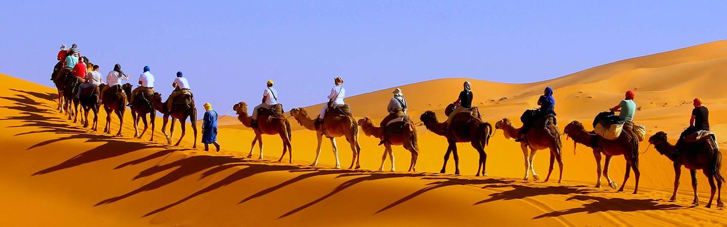All OUT Adventures Tours