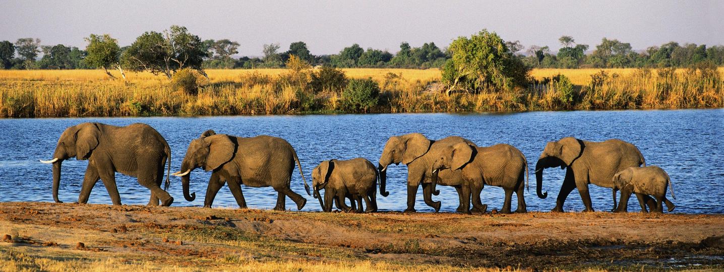 All Nature Expeditions Africa Ltd Tours