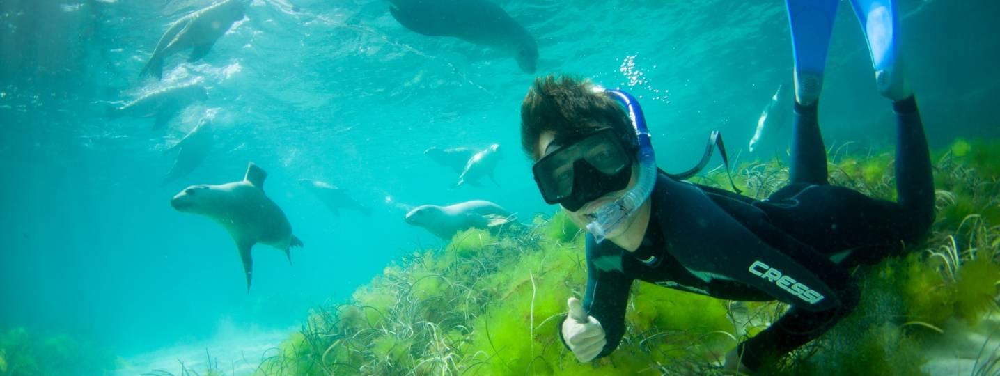 All Adventure Bay Charters Tours