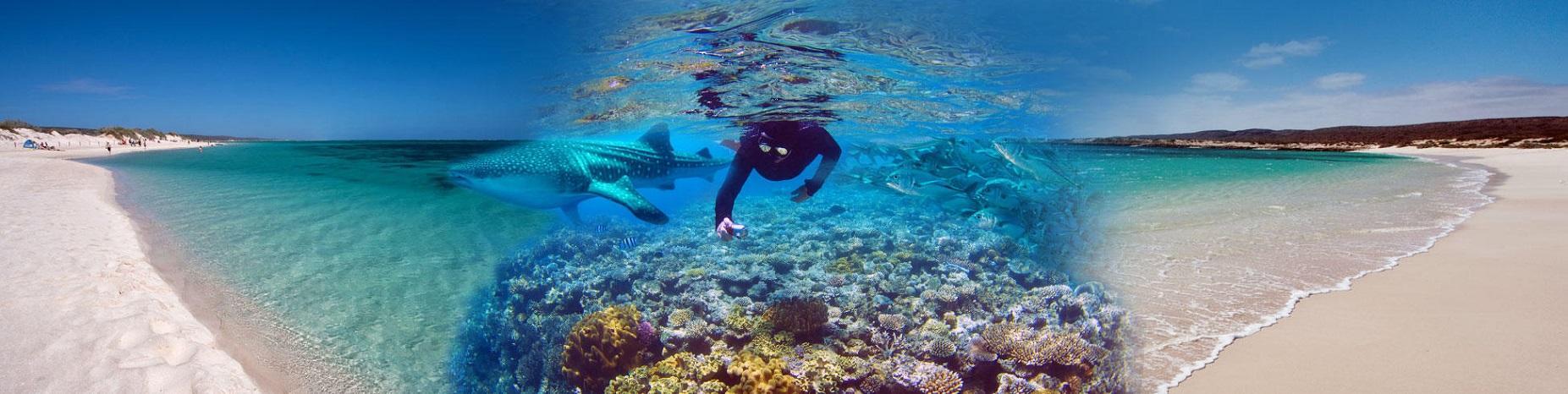 All Aussie Wanderer Tours