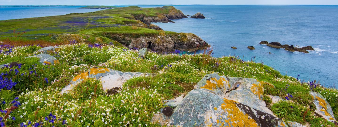Ring of Kerry Tours & Trips 2018/2019