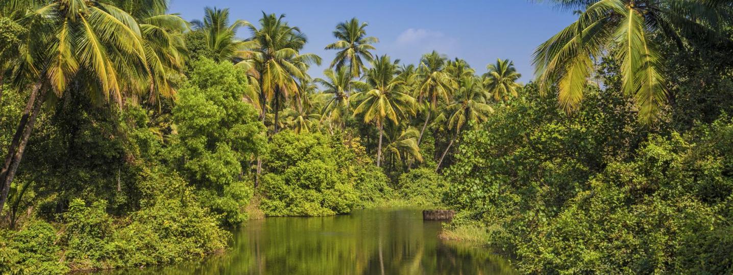 Western India Tours & Trips 2018/2019