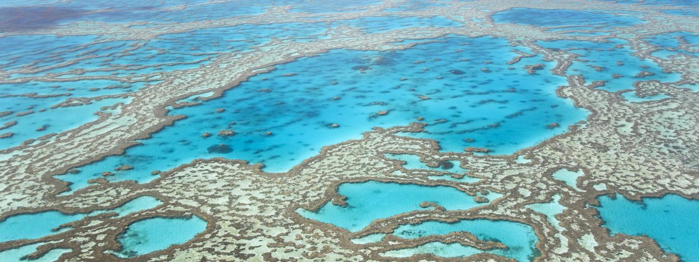South East Queensland Tours & Trips 2018/2019