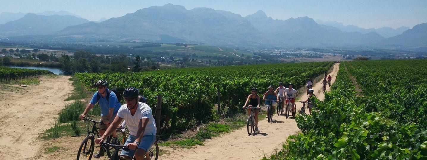 All The Chain Gang Cycle Tours