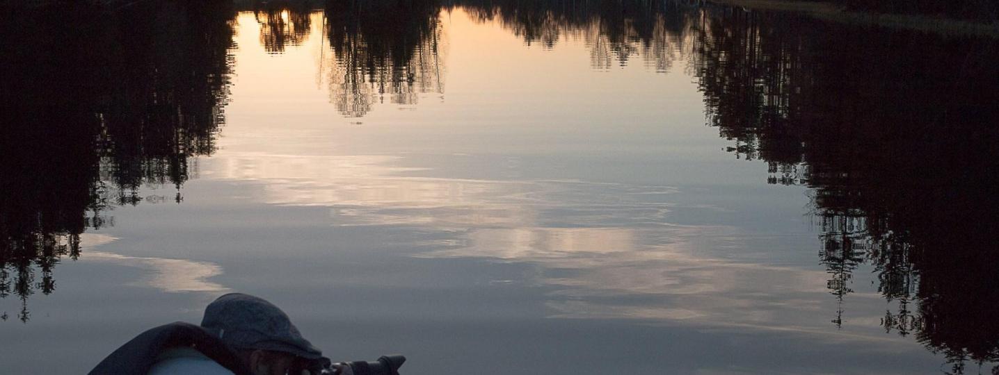 All Wild Sweden Tours