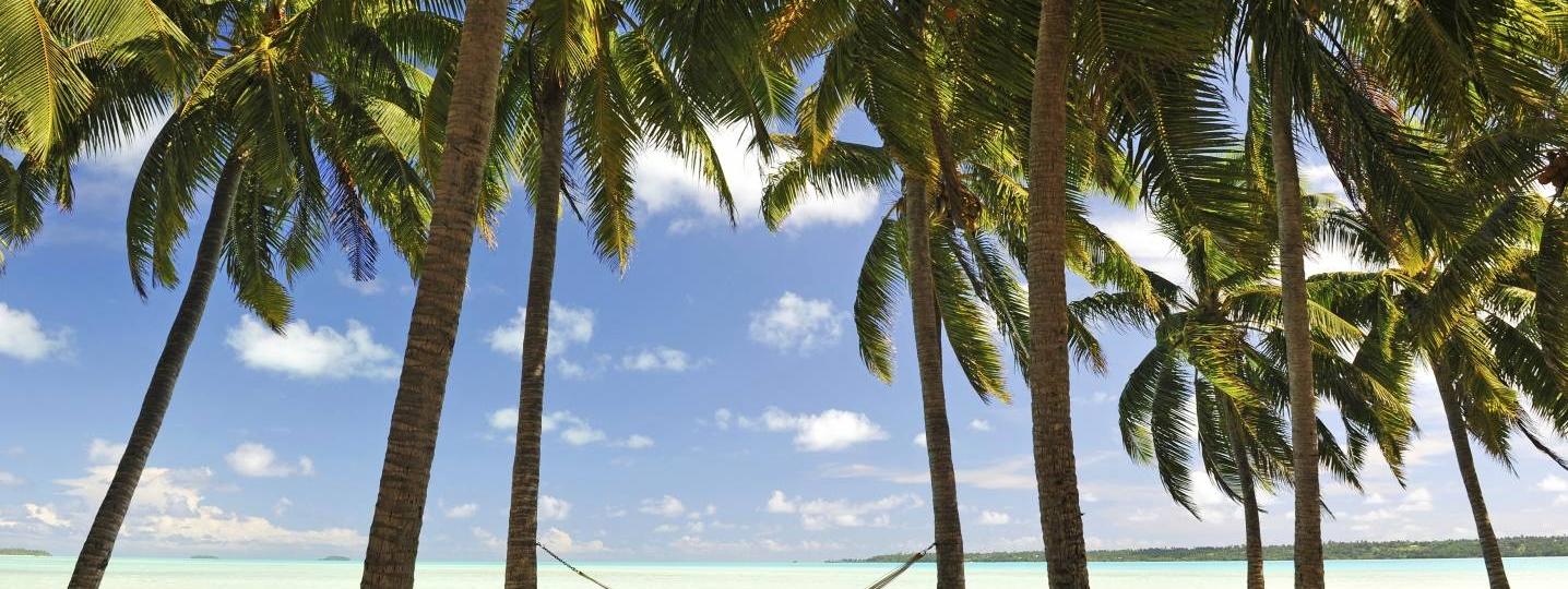 Jamaica in January 2019 Tours & Trips