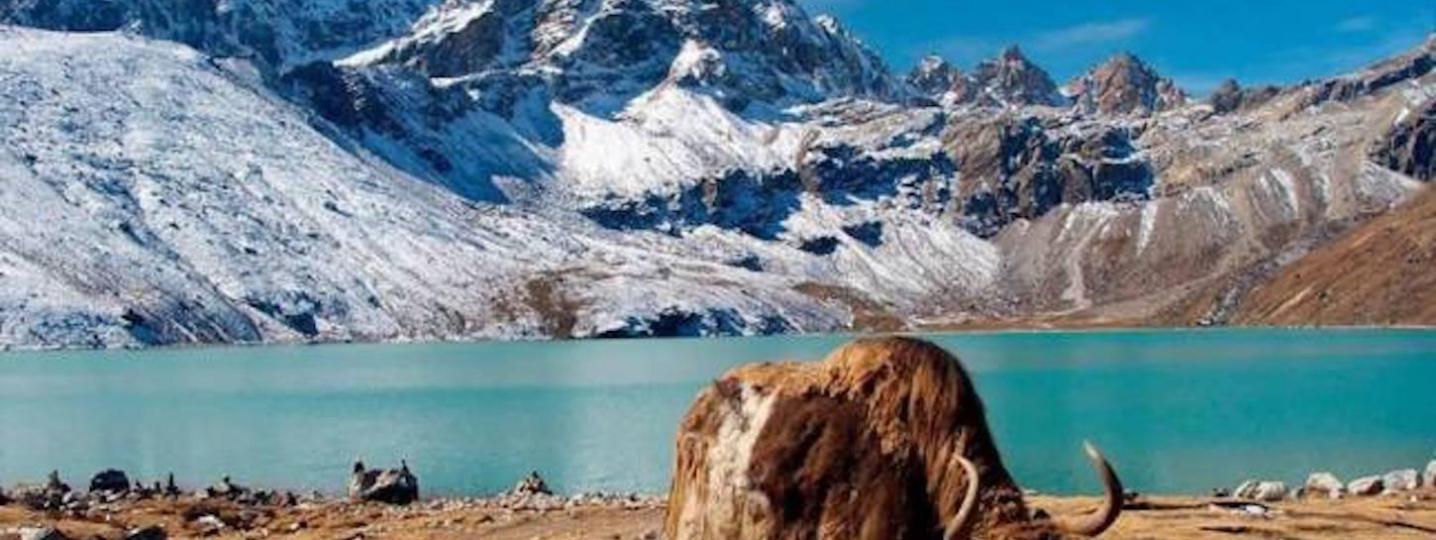 All Mount Adventure Holidays Pvt.Ltd Tours