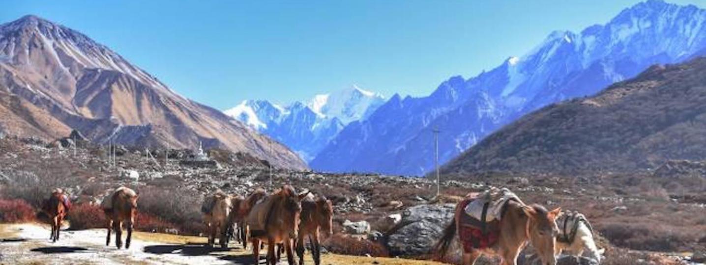 All Scenic Nepal Treks & Expedition Pvt. Ltd Tours
