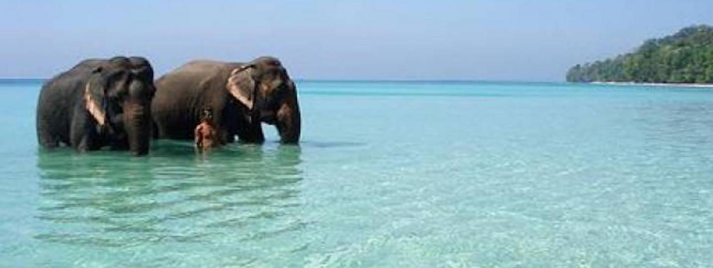 All IHCT Heritage & Adventure Tours