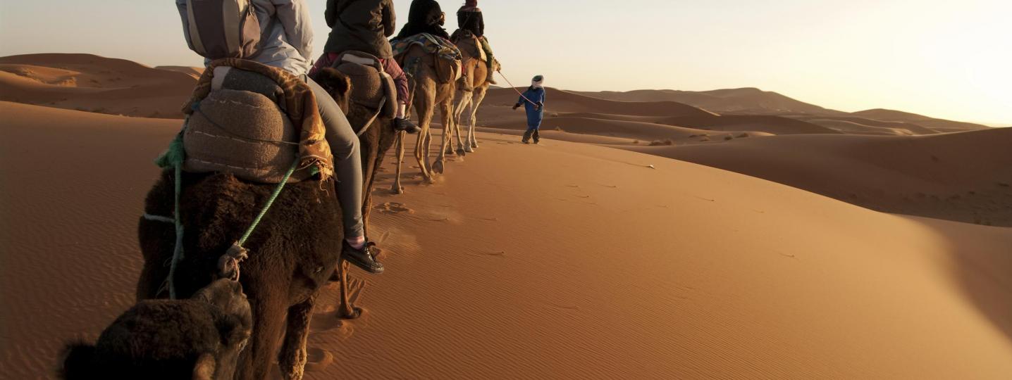 All Adventurekeys Tours