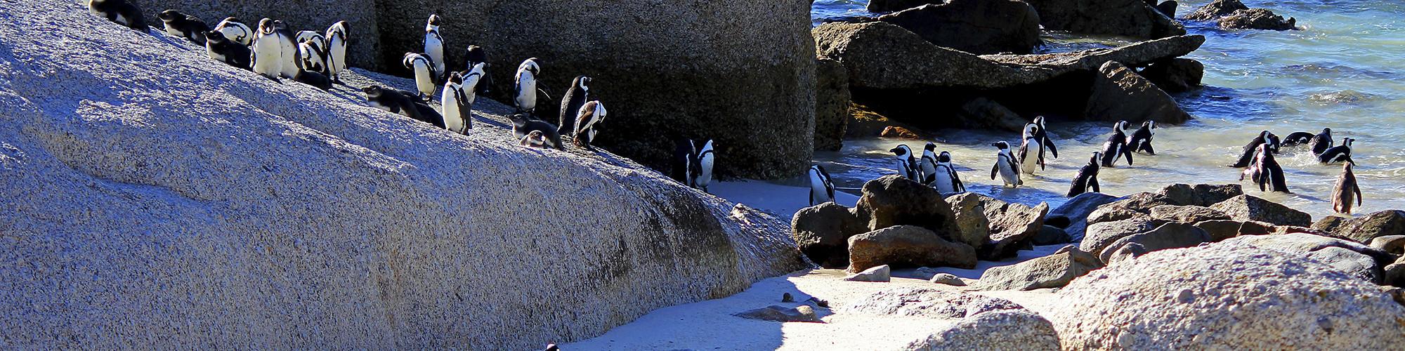Swaziland Tours and Trips 2018/2019