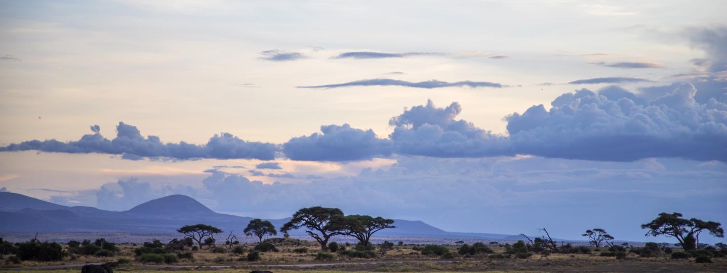 African Safari Packages