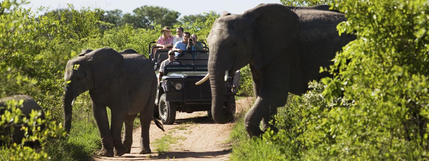 All Take Me To Africa Tours
