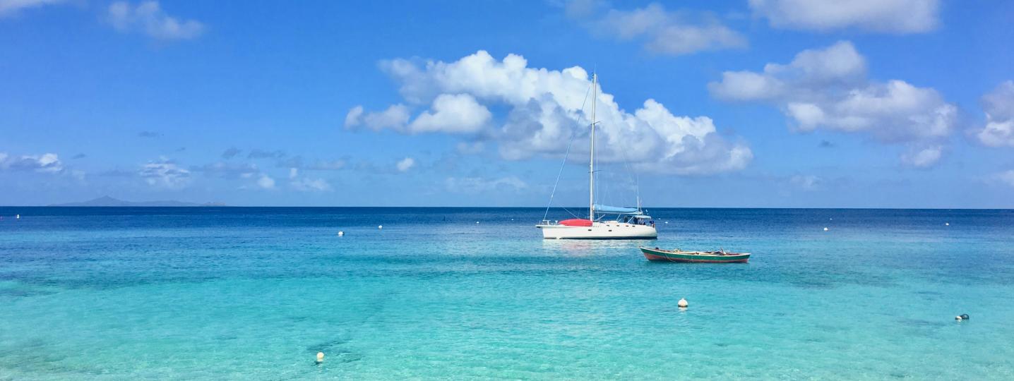 All BlueFoot Travel Tours