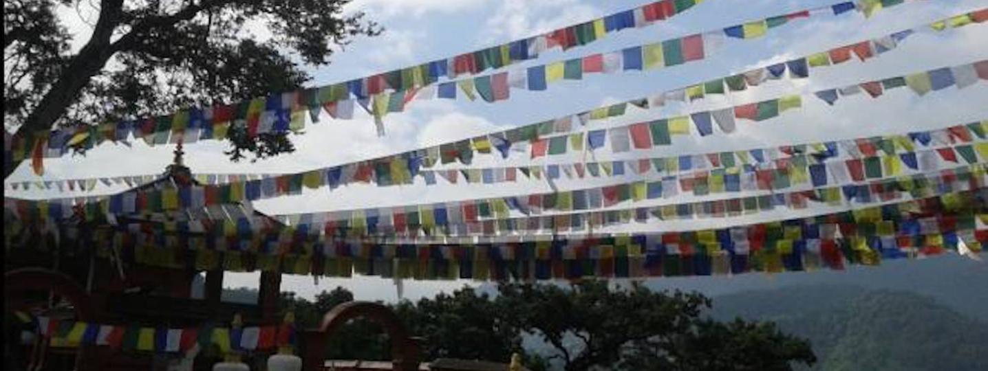All The Nepal Trekking Company Tours