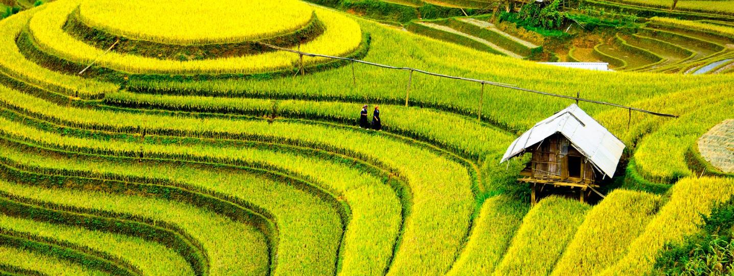 Ubud Tours and Trips 2018/2019