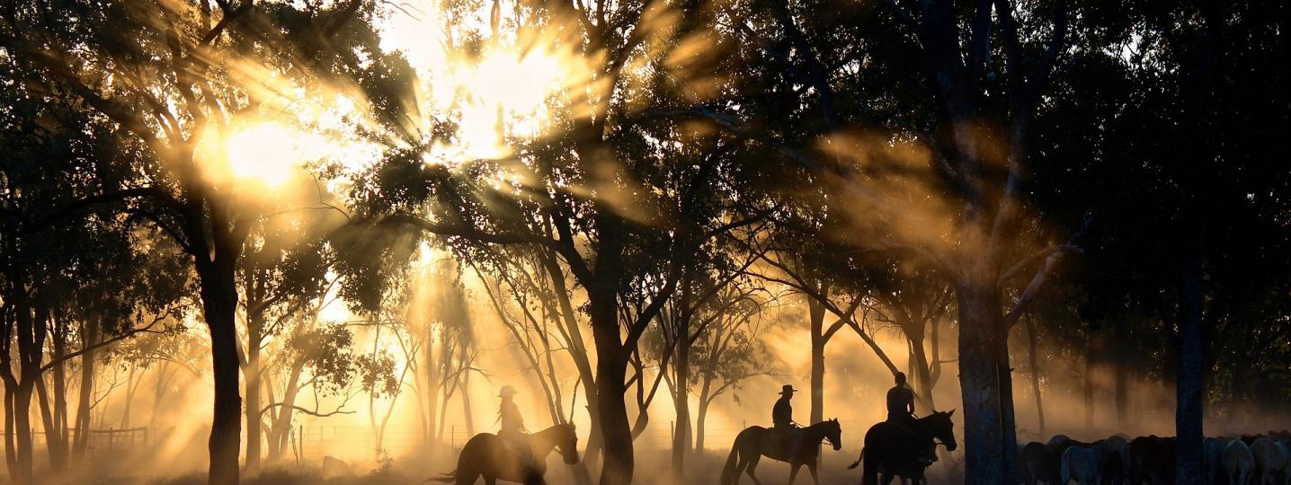 Australia Adventure Tours & Trips