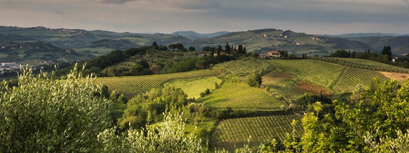 All Piceno Tour Tours