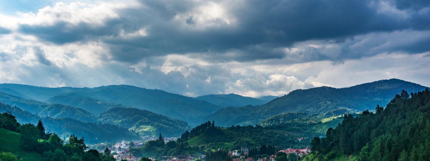 Transylvania Live Expert in Transylvania Deals and Discounts 2019/2020