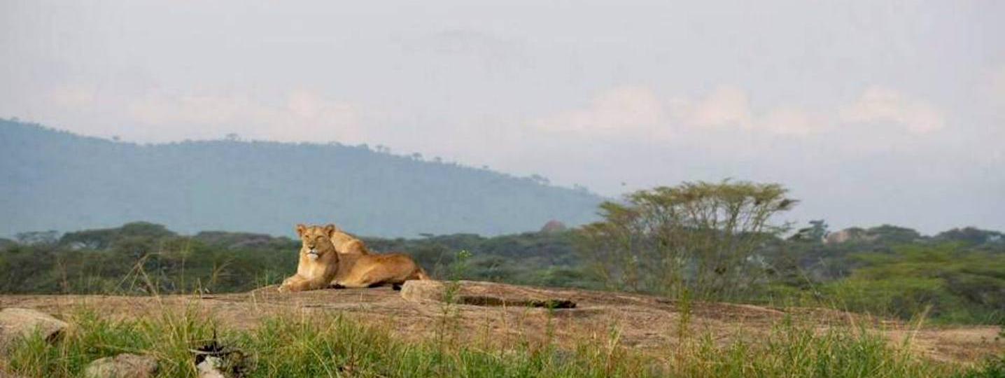 All Gilmag Safaris Tours