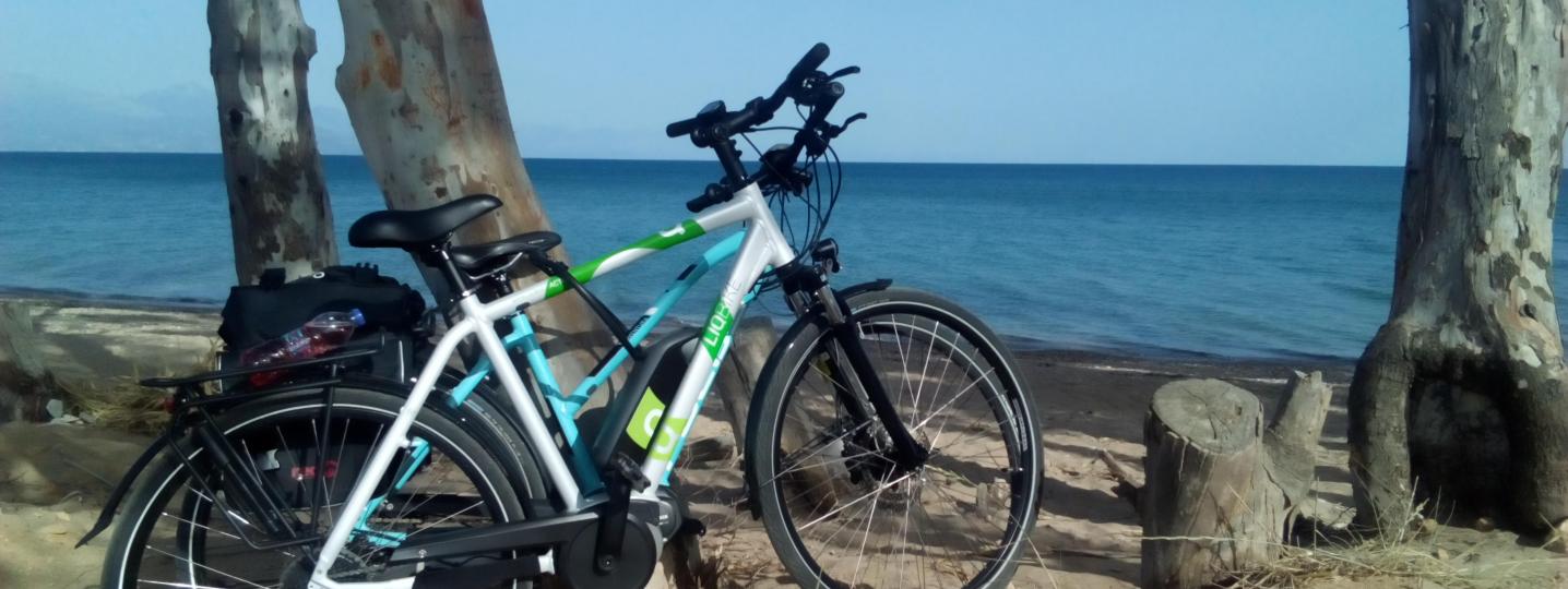 All Cycle Green Tours