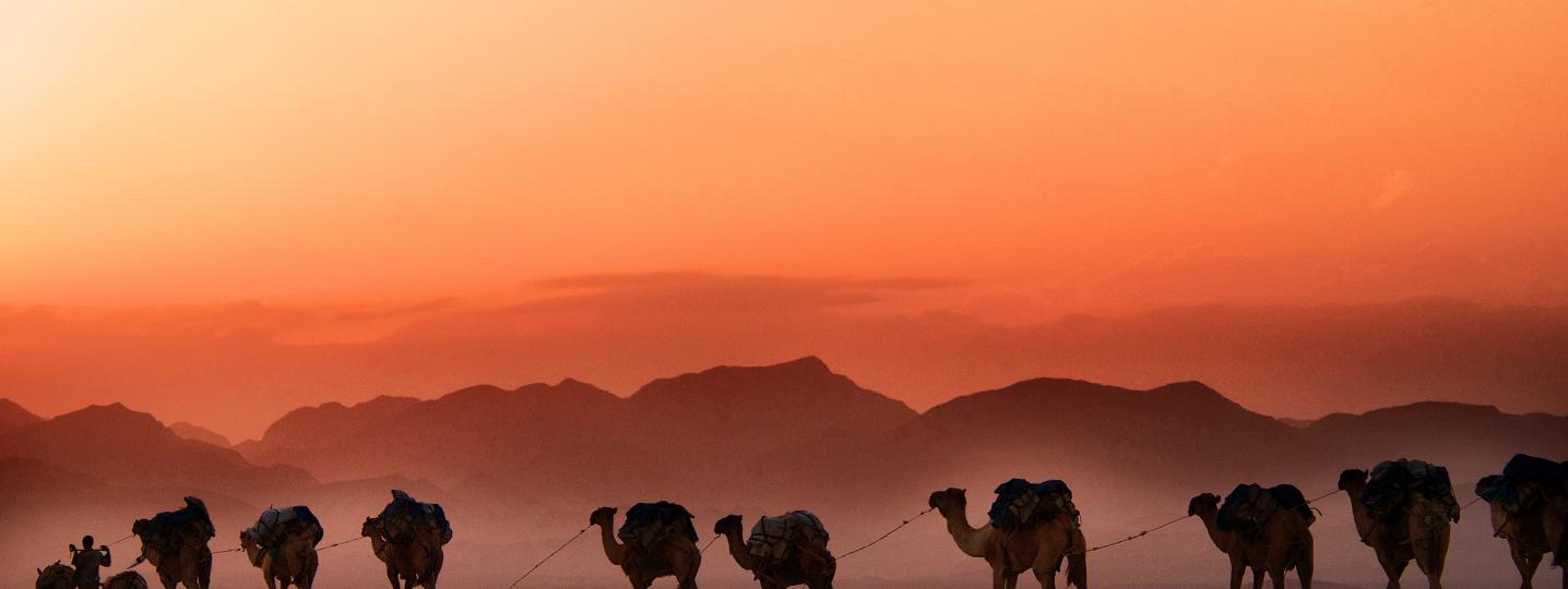 All Aman Ethiopia Tour & Travel Tours