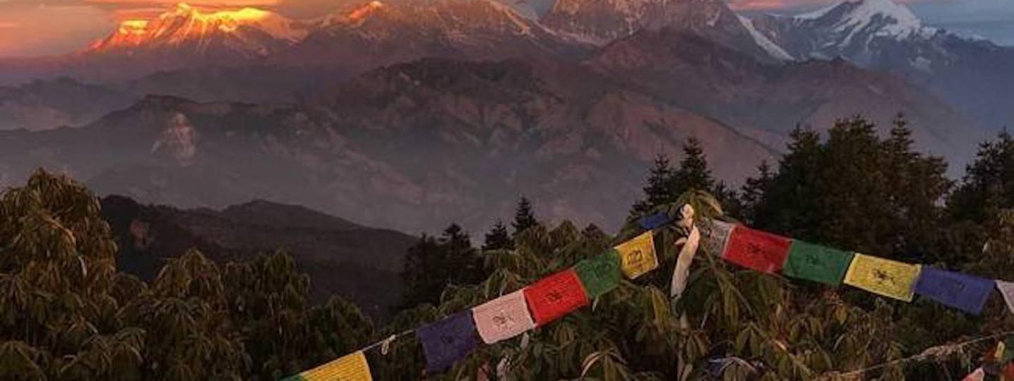 All Uma Holidays Travels And Tours Pvt. Ltd.