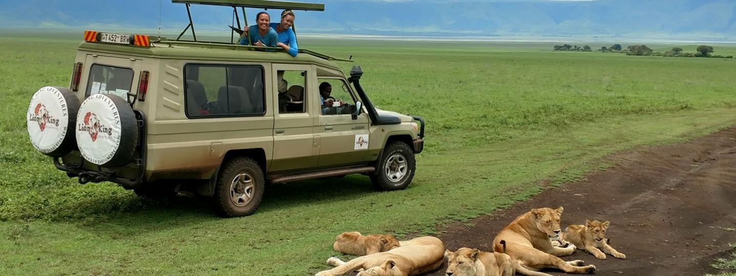 All Lion King Adventures Tours