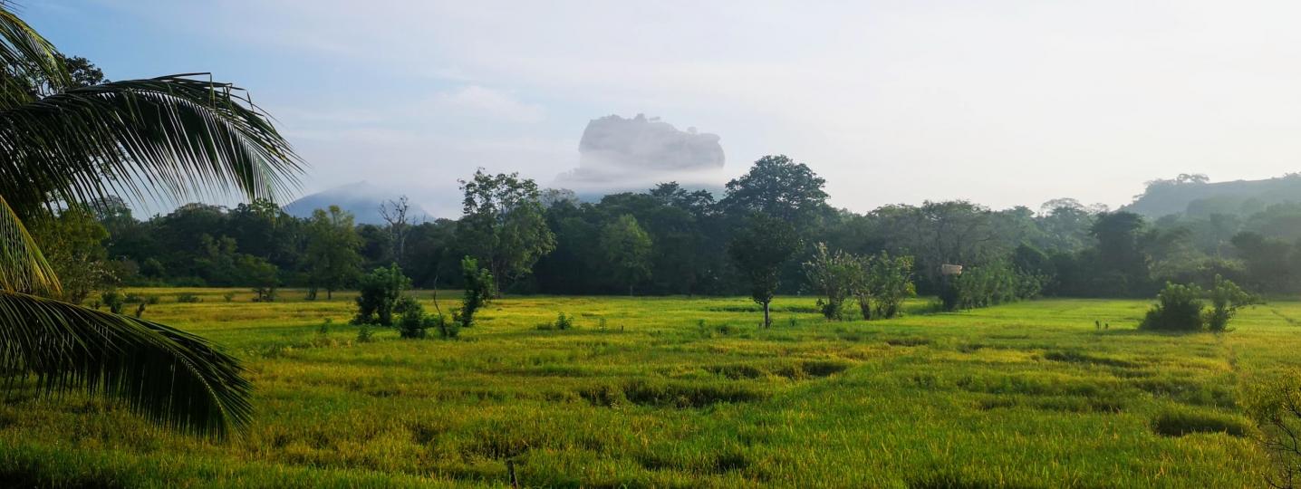All Kingfisher Tours Srilanka