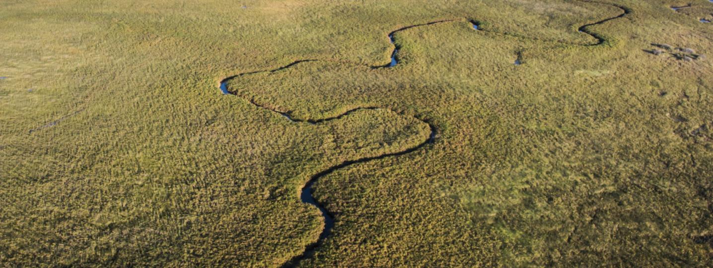 All Botswana Bamba Experience Tours