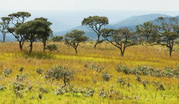Congo