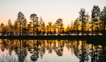 Finland