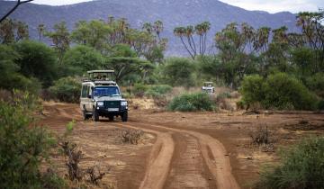 Kenya Safari Tours