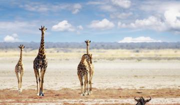 Namibia