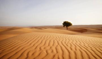 Oman