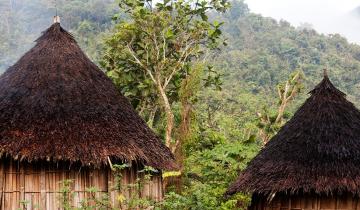 Papua New Guinea