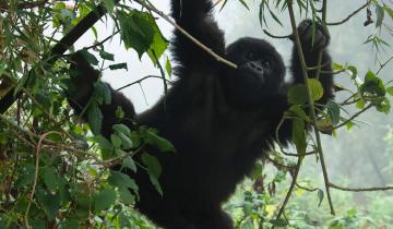 Rwanda