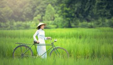 Vue d'une femme à vélo dans une rizière au Vietnam