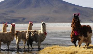 Bolivia