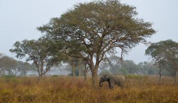 Benin
