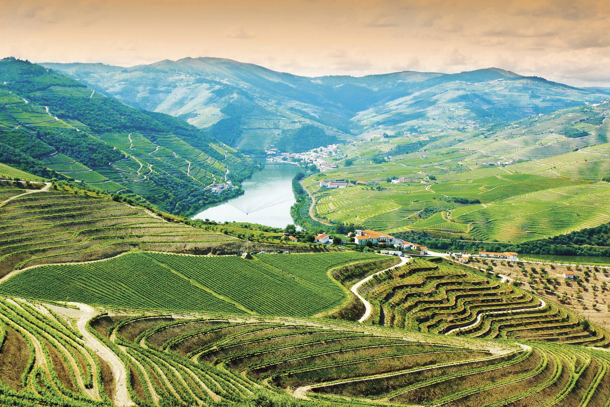 The 10 Best Douro River Cruises 2020 (with 61 Reviews) - TourRadar