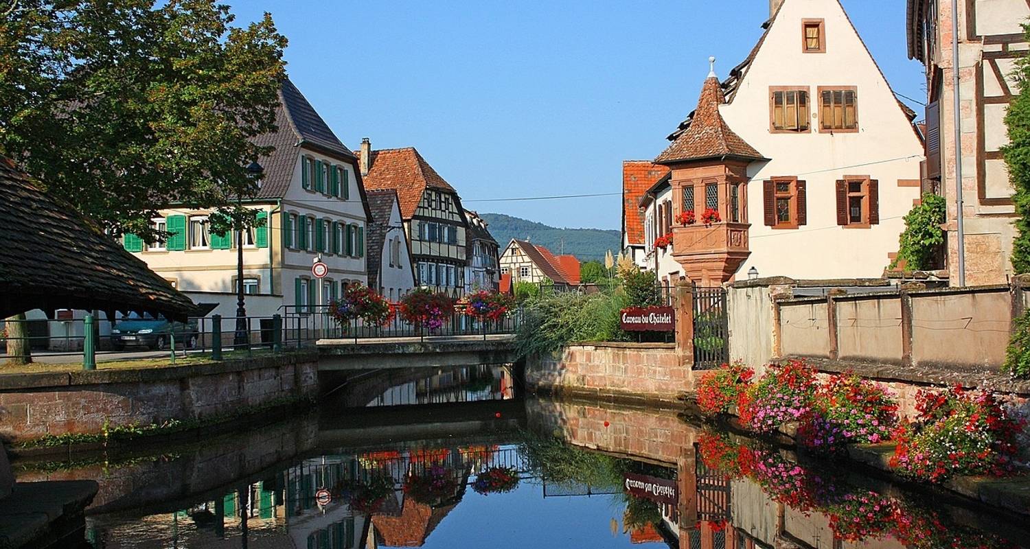 Elsässische Weihnachtstraditionen & Schifffahrt im Herzen von Straßburg Hafen-zu-Hafen-Kreuzfahrt (5 Destinationen) - CroisiEurope River Cruises