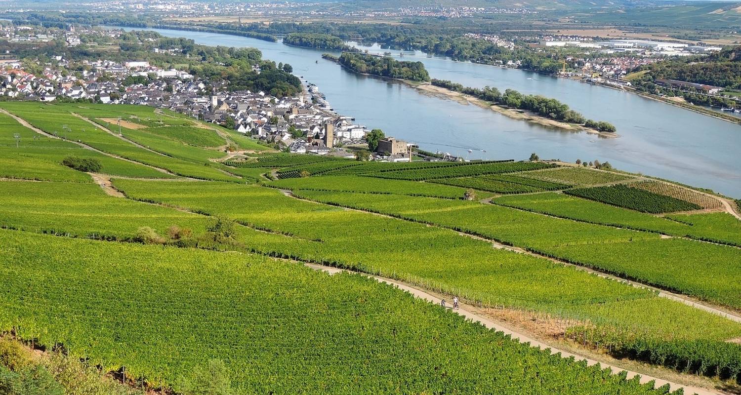 Nouvel an sur le Rhin romantique - BOHEME - CroisiEurope River Cruises