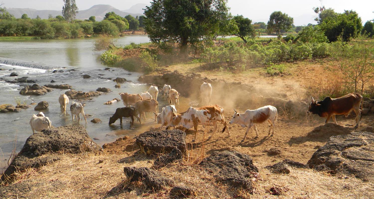 Discover Ethiopia - G Adventures