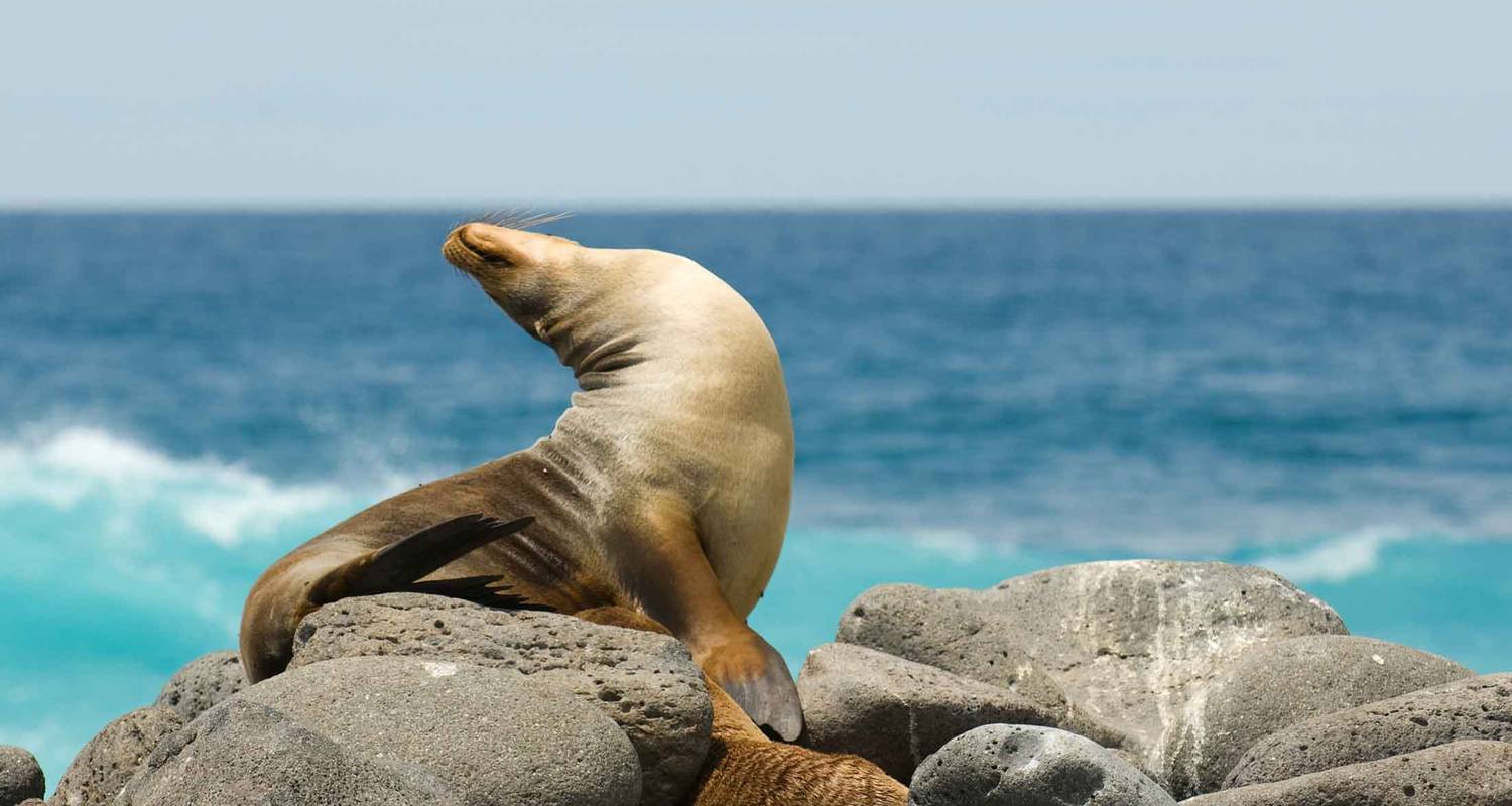 Classic Galapagos: South Eastern Islands (Grand Queen Beatriz) - Peregrine Adventures