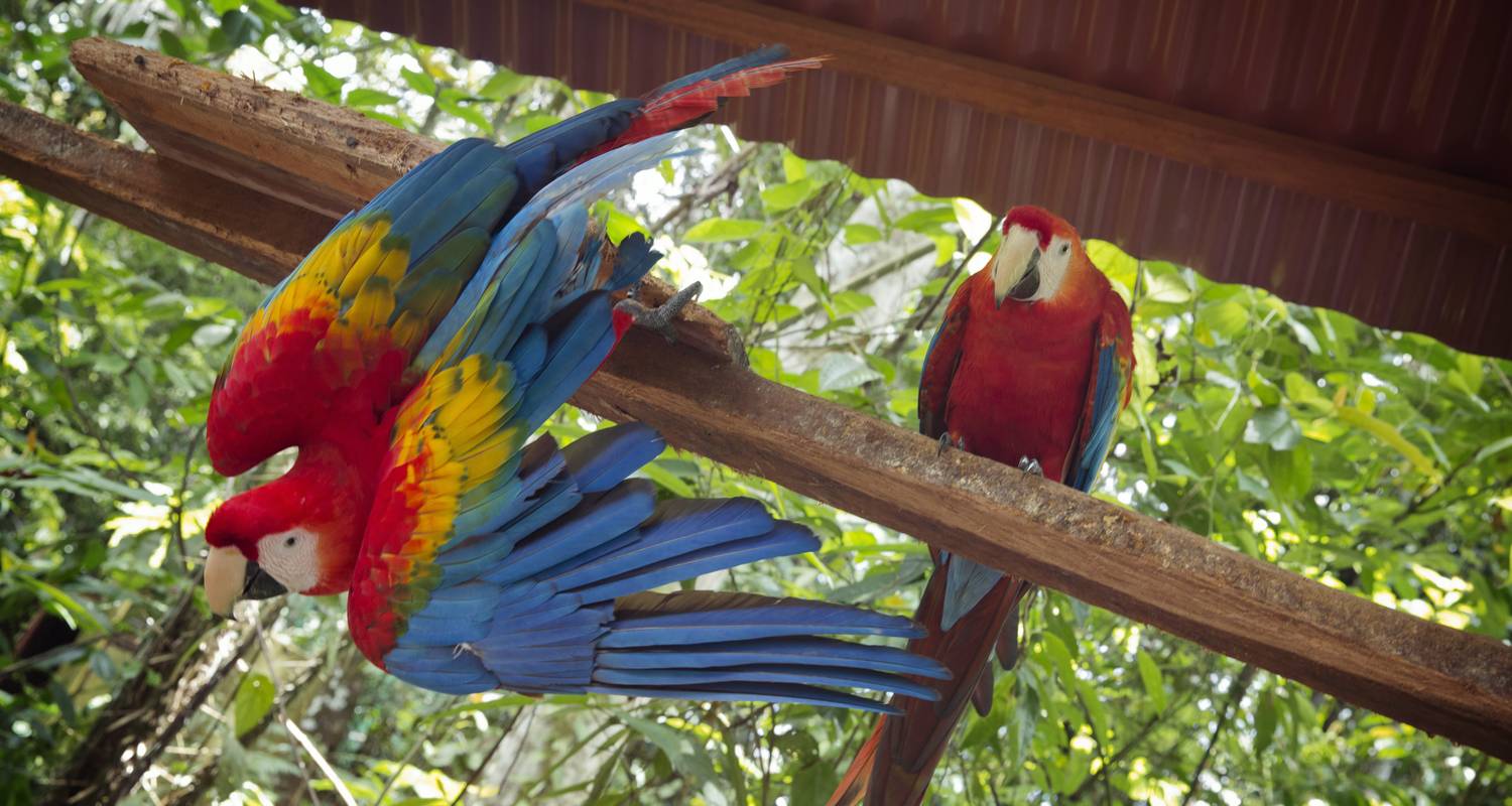 Lima Fly & Stay Independent Adventure - G Adventures
