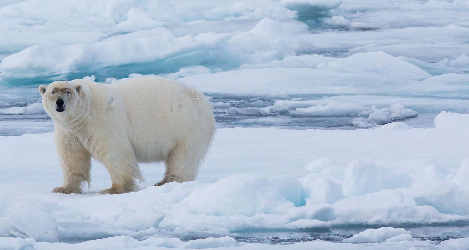 Svalbard Tours & Trips